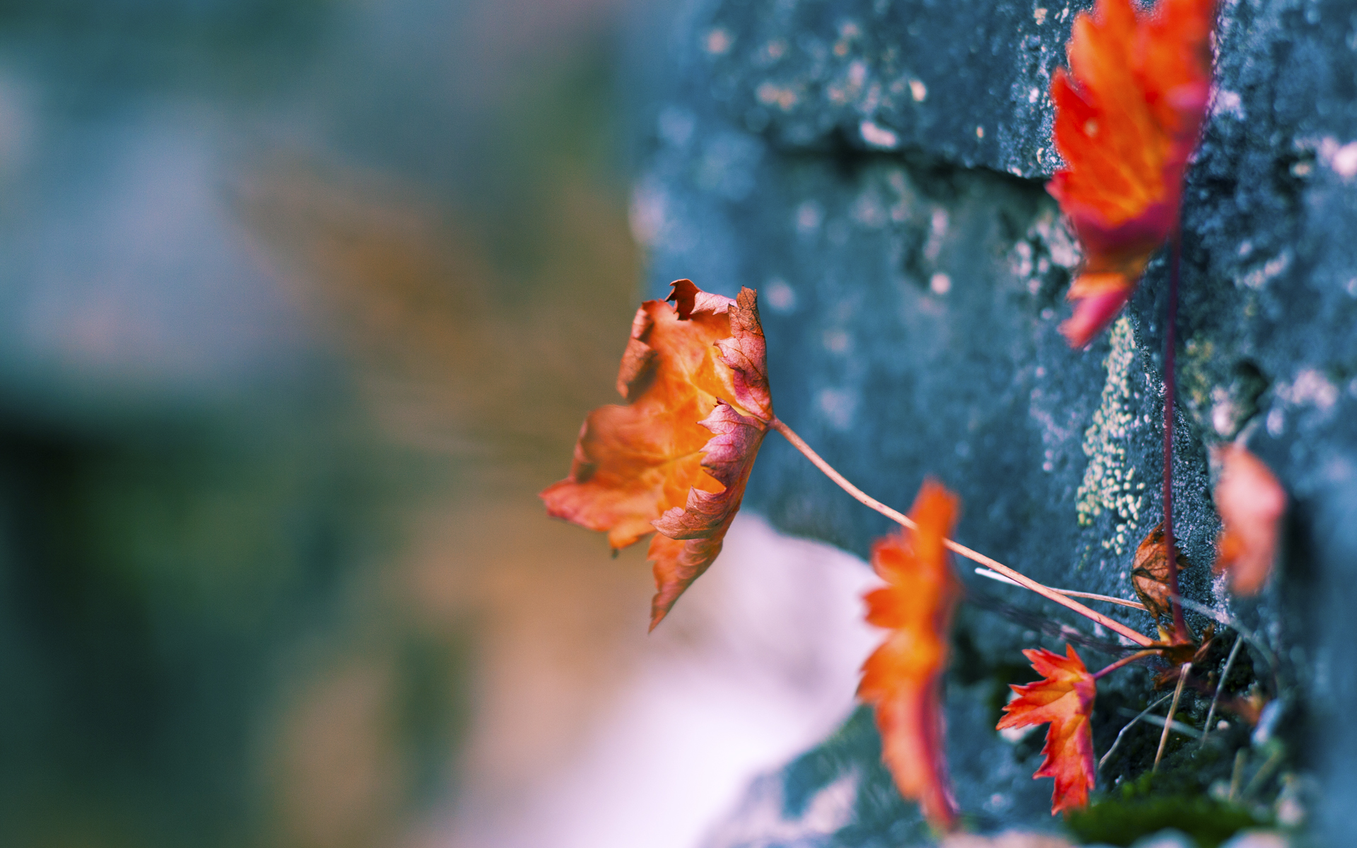 智能赛道:科技让比赛更安全、更公平,智能科技大赛