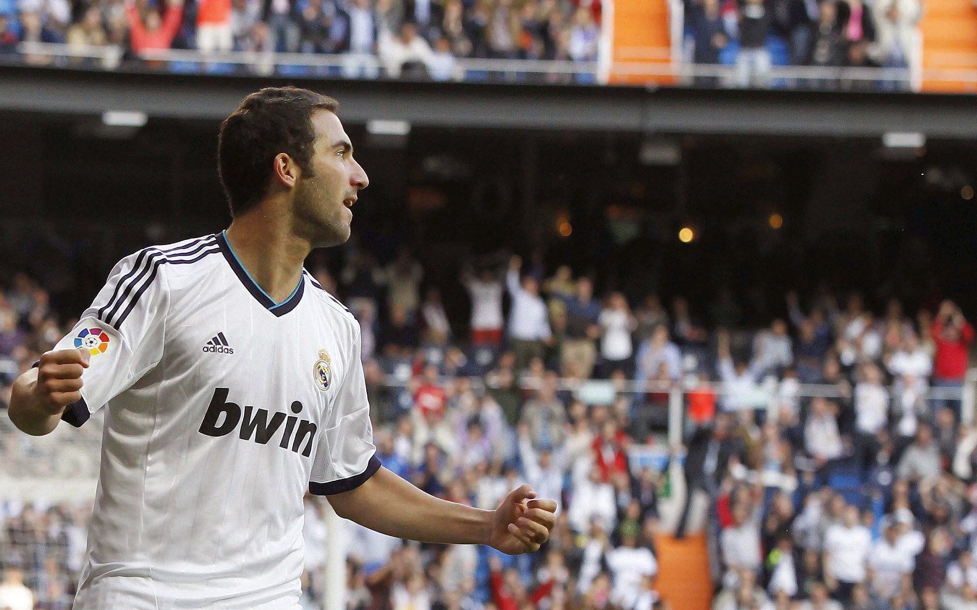 “彼得森助南非羚羊队登顶世界舞台”