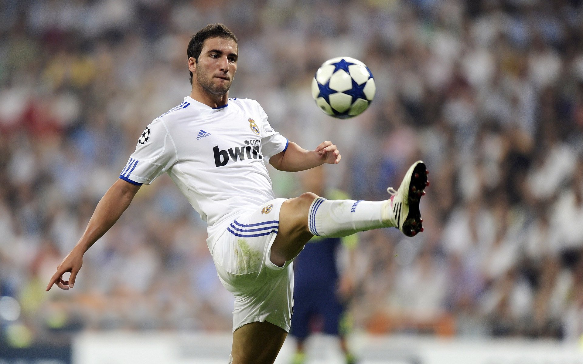 法甲地区新星：未来巨星今天崛起！，法甲球队实力定位